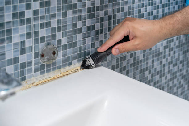 Best Mold Remediation for Schools in St Paul, MN